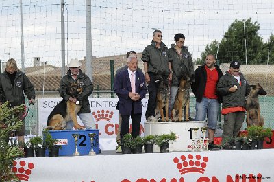 Remise des Prix 120.JPG - CHIENPLUS.COM
